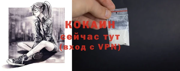твердый Абаза