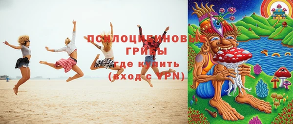 твердый Абаза