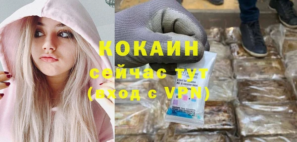 твердый Абаза