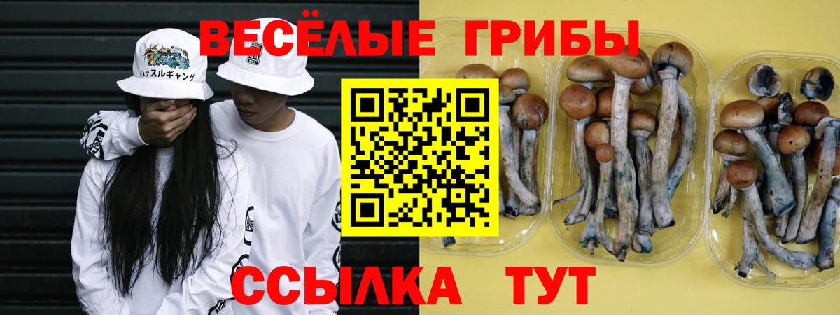 Галлюциногенные грибы GOLDEN TEACHER  Вход с VPN  Галлюциногенные грибы MAGIC MUSHROOMS  Стерлитамак 
