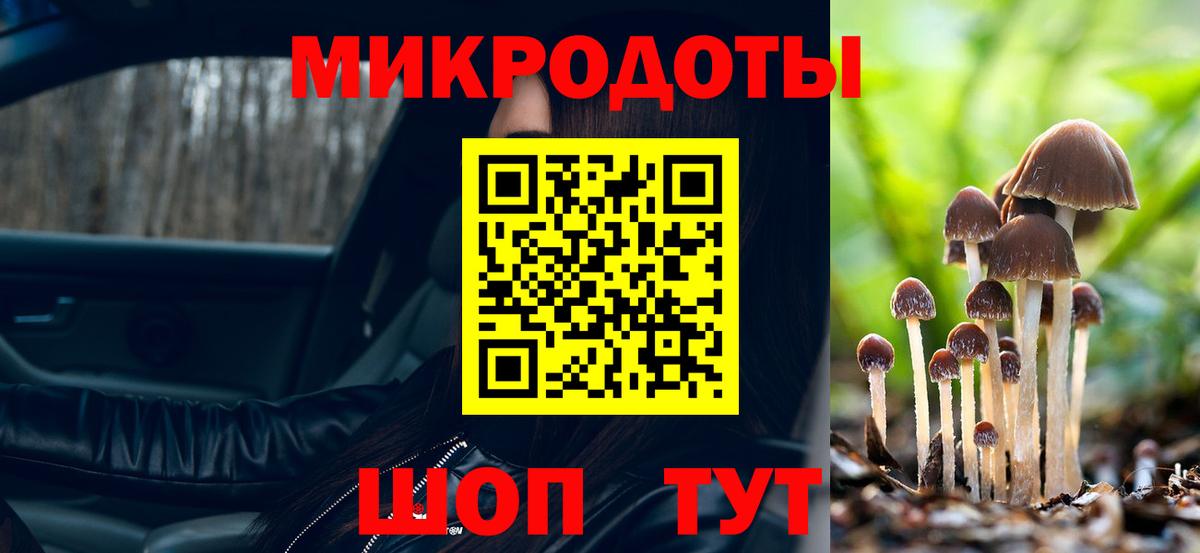 Псилоцибиновые грибы Psilocybe Стерлитамак